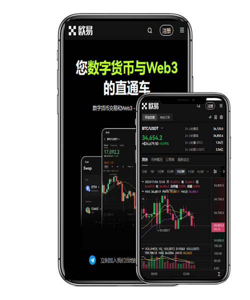 安币下载官方正版入口指南：快速安装注册与安全使用技巧